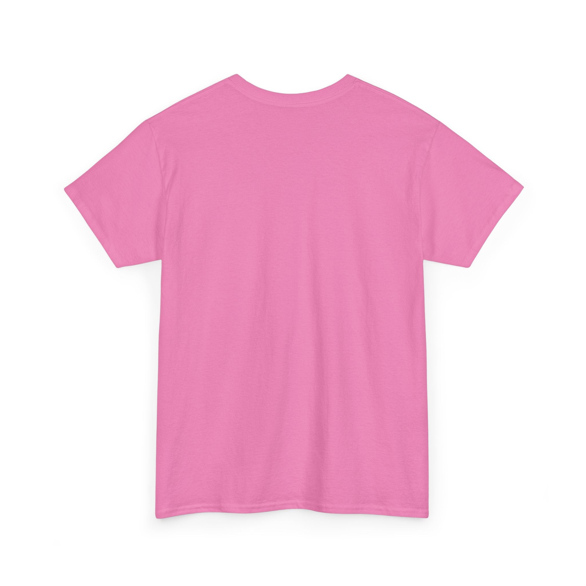 Funny Dad Money Provider Tee