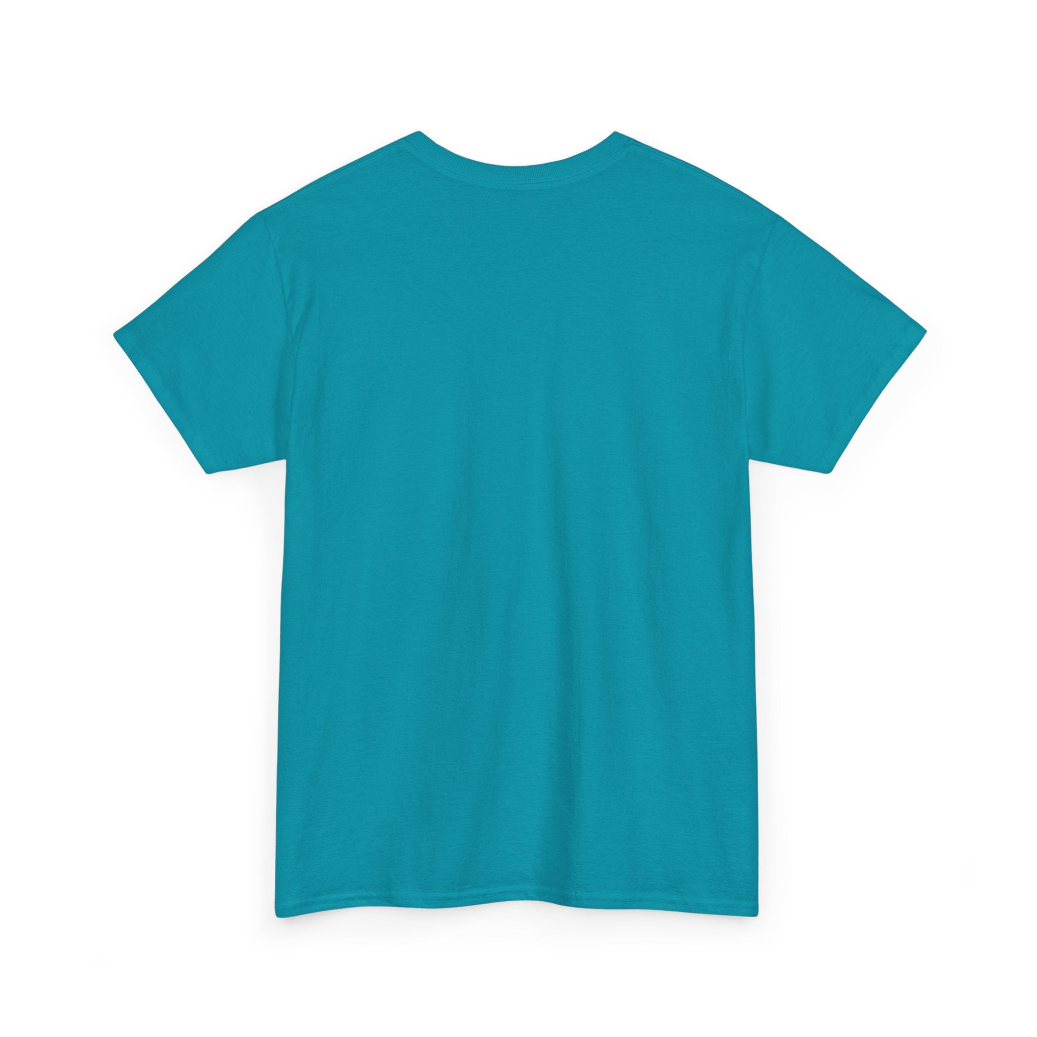 Funny Dad Money Provider Tee