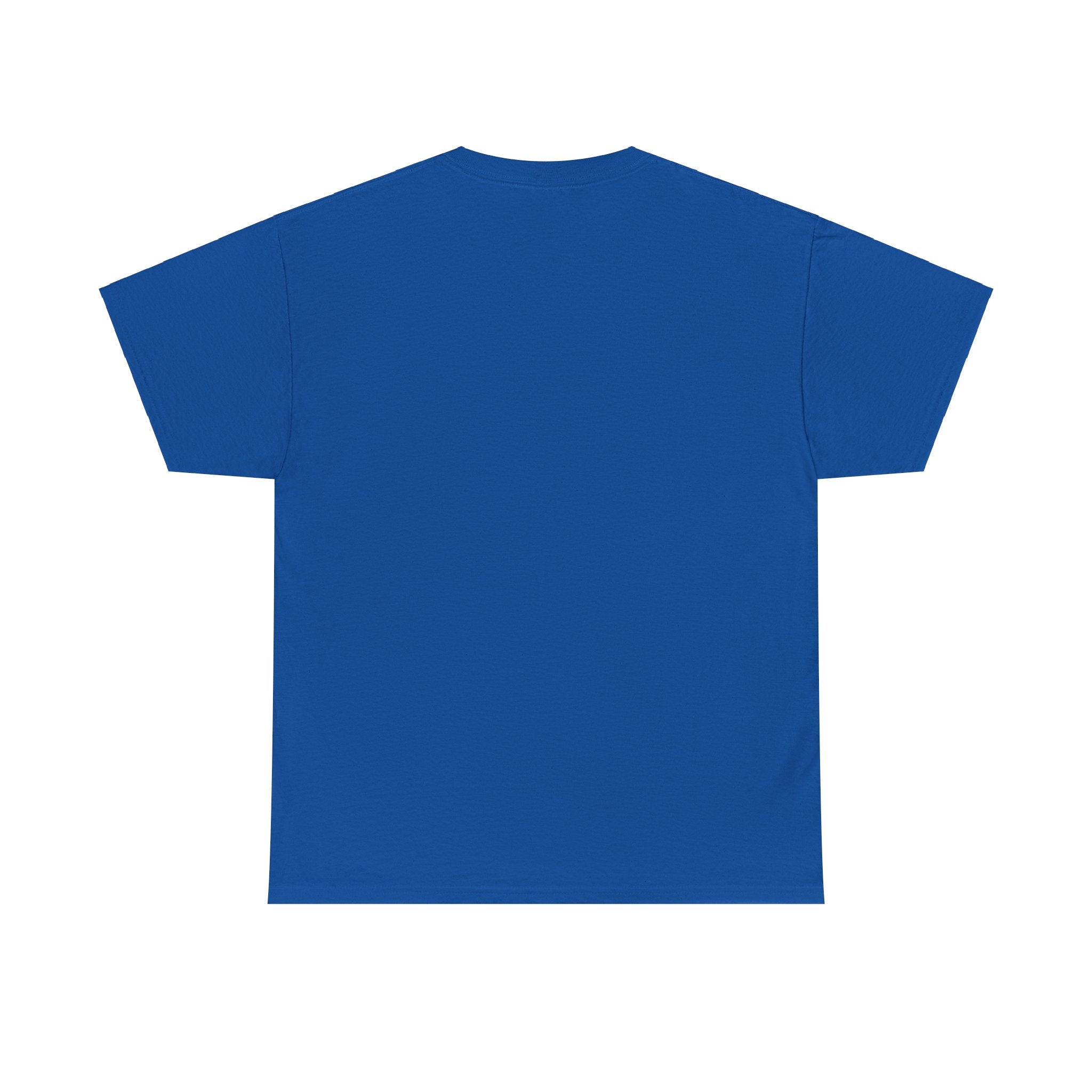 Funny Dad Money Provider Tee