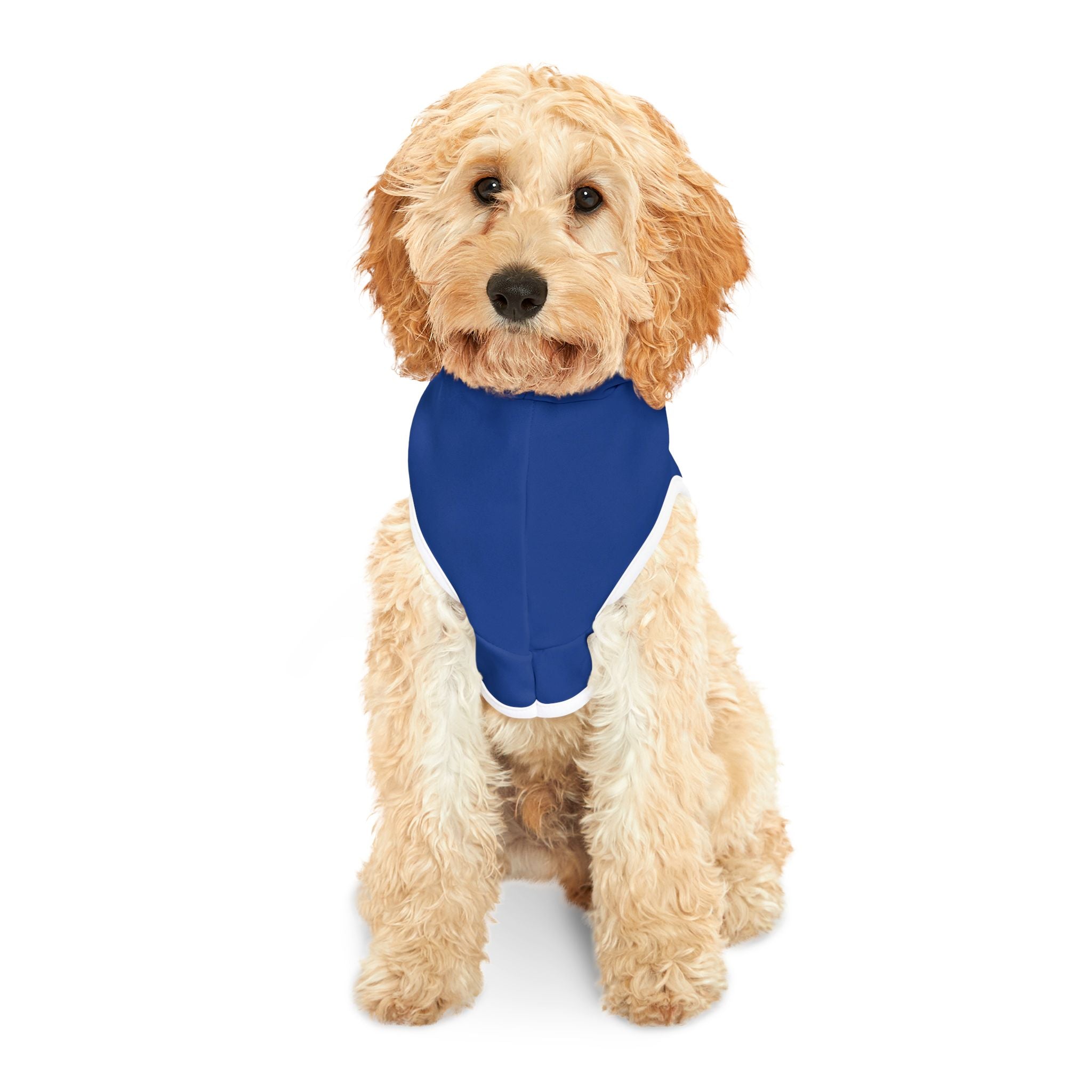 Twin District Swag Logo Pet Hoodie