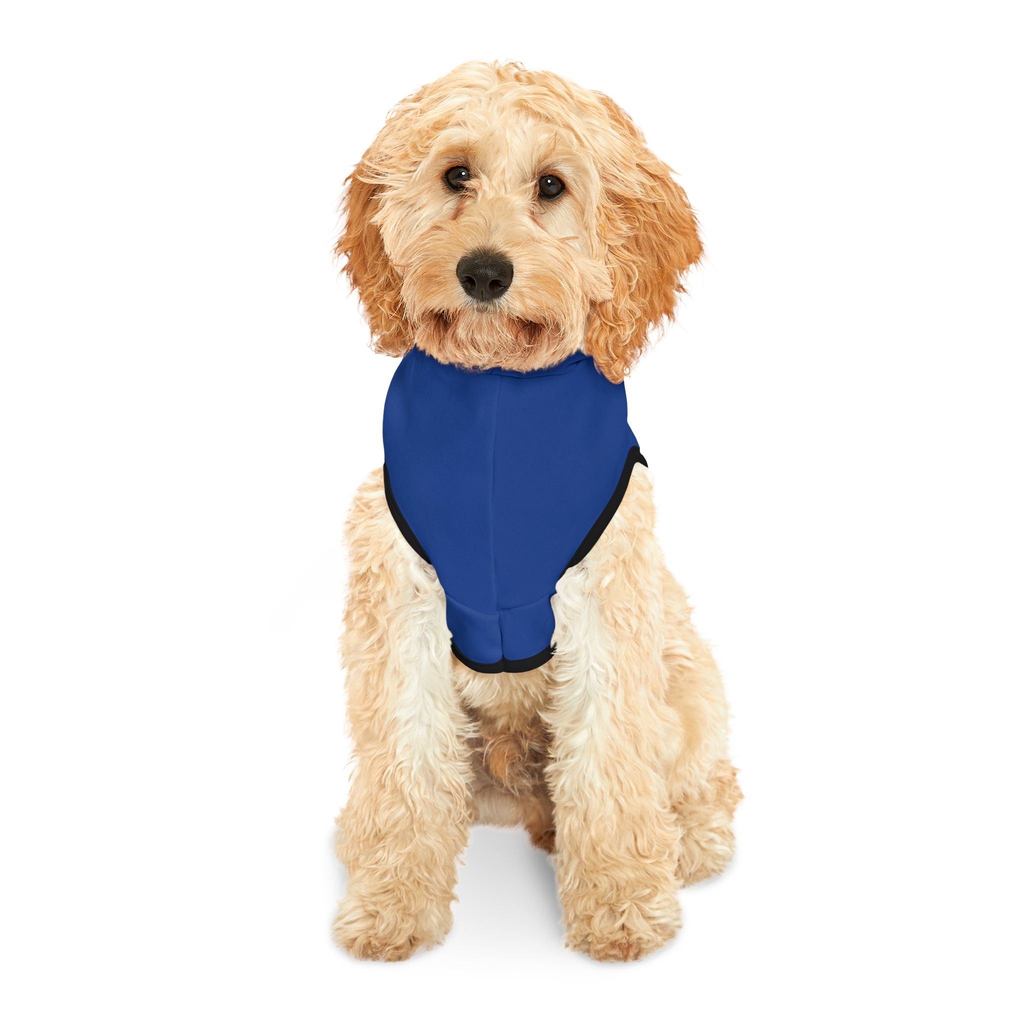 Twin District Swag Logo Pet Hoodie