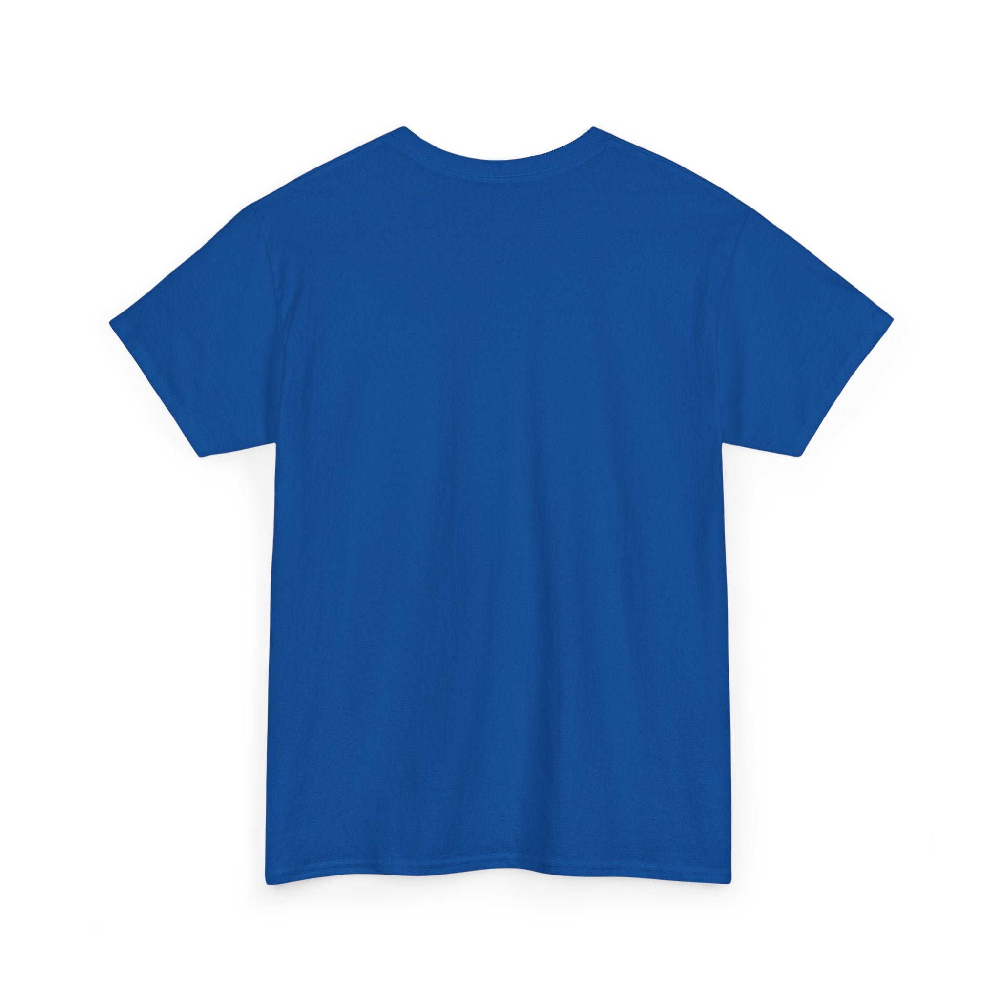 Funny Dad Money Provider Tee